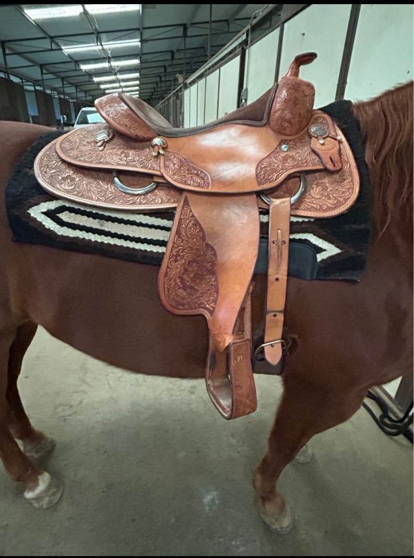John Slack 16" Reining