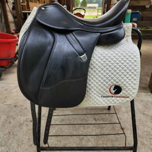 Bates Dressage