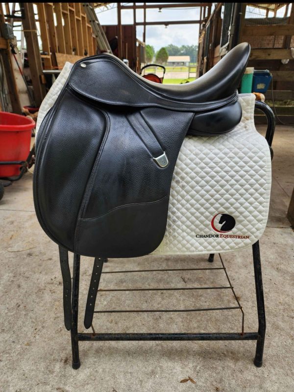 Bates Dressage